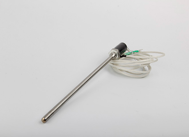 Rod type sensor